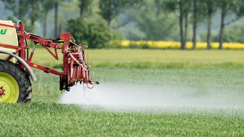 Düngemittel aus der Landwirtschaft sind der Grund für die hohe Nitratbelastung im Grundwasser. (dpa)