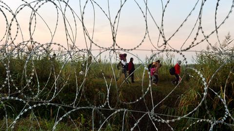 An der Grenze zwischen Ungarn und Serbien laufen 2015 Flüchtlinge, die auf dem Weg in die EU sind. (picture alliance / dpa)