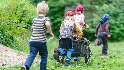 Kinder der Kita Wühlmäuse spielen im Wald mit einem Anhänger, Preetz/Schleswig-Holstein. (dpa)