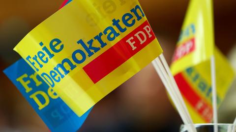 Fähnchen mit dem Schriftzug "Freie Demokraten" und "FDP". (dpa)