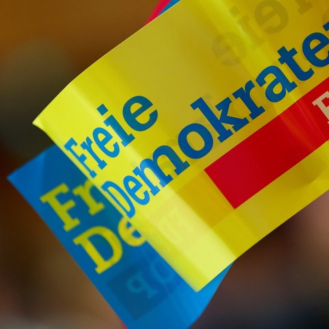 Fähnchen mit dem Schriftzug "Freie Demokraten" und "FDP". (dpa)