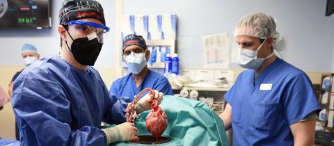 Ärzte operieren an einem Schweineherz, das einen menschlichen Patienten eingesetzt wird. (dpa)