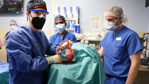 Ärzte operieren an einem Schweineherz, das einen menschlichen Patienten eingesetzt wird. (dpa)