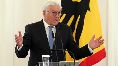 Bundespräsident Steinmeier spricht im Schloss Bellevue  (dpa)