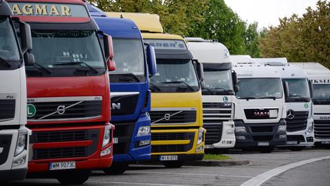 Lastwagen stehen auf einem Parkplatz an der Autobahn 5 an der Raststätte Breisgau. (dpa)