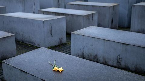 Zwei gelbe Rosen liegen auf dem Holocaust-Mahnmal in Berlin. (picture alliance/dpa)