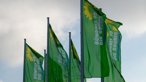 Flaggen mit dem Logo von Bündnis 90/Die Grünen wehen im Wind. (picture alliance/dpa)