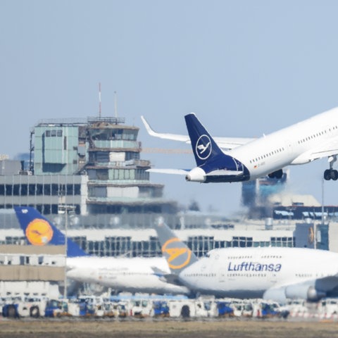 Ein Airbus der Lufthansa startet am Frankfurter Flughafen über anderen Passagiermaschinen der Airline.  (dpa)