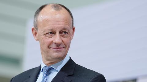 Friedrich Merz (dpa)