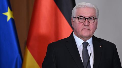 Frank-Walter Steinmeier (dpa)