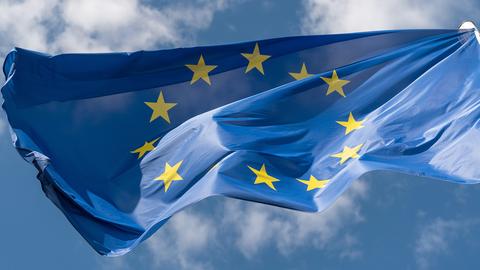 Flagge der EU (dpa)