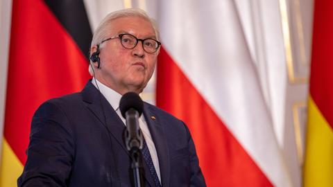 Bundespräsident Steinmeier (dpa)