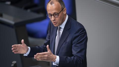 Friedrich Merz (dpa)