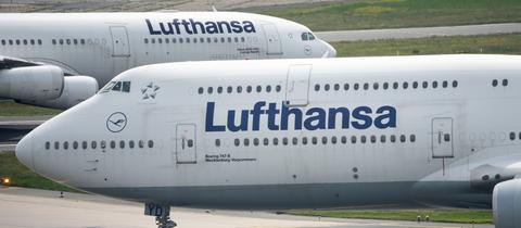 Maschinen der Lufthansa stehen auf einem Rollfeld des Frankfurter Flughafens (dpa)