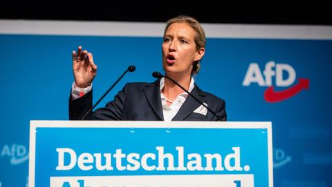AfD-Politikerin Alice Weidel (dpa)