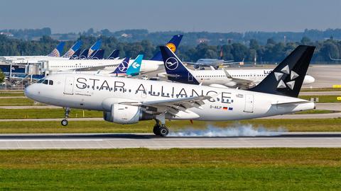 Lufthansa Flugzeug mit Star Alliance Logo (picture alliance / Markus Mainka)