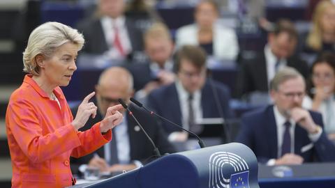 Ursula von der Leyen (dpa)