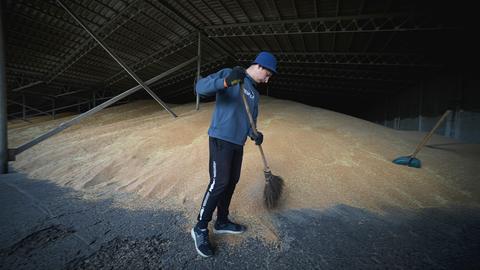 Ein Arbeiter trocknet das Getreide in einem landwirtschaftlichen Betrieb in Kalmychanks im Bezirk Starobilsk. (dpa)