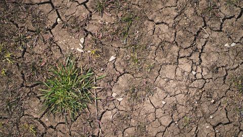 Ein von der Hitze befallener ausgetrockneter Boden. (picture alliance/dpa)