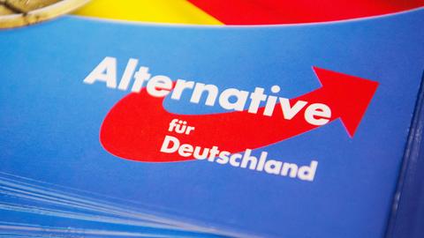 AfD Logo (picture alliance/dpa)