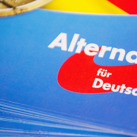 AfD Logo (picture alliance/dpa)