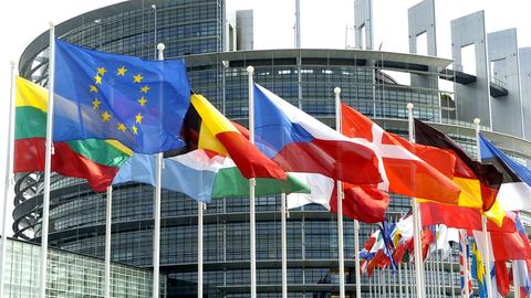 Die Flaggen der Mitgliedsländer der Europäischen Union wehen vor dem Europa-Parlament. (picture alliance/dpa)