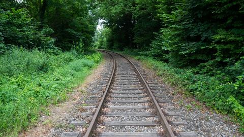 Schienen auf der Bahnstrecke Rinteln - Stadthagen (dpa)