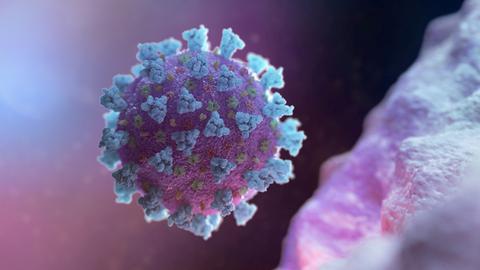 Modell des Coronavirus (via REUTERS)