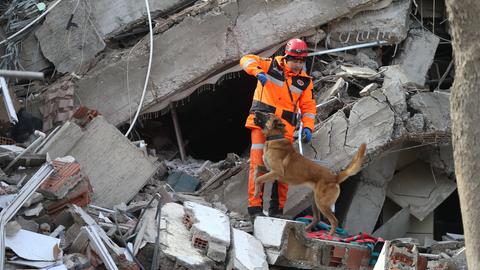 Ein Mitglied und ein Hund des Rettungsteams sucht nach Überlebenden in den Trümmern eines Gebäudes. (dpa)