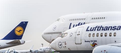 Lufthansa-Maschinen stehen auf dem Vorfeld am Flughafen Frankfurt am Main (dpa)