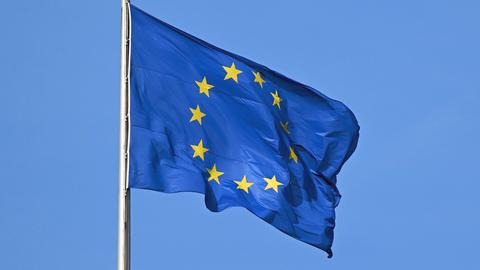 EU Flagge (dpa)