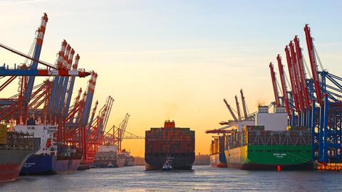 Containerschiffe im Hamburger Hafen (picture alliance/dpa)