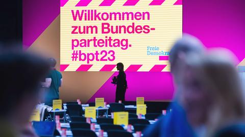 FDP Bundesparteitag (dpa)