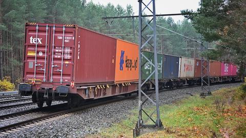 Ein Güterzug fährt durch einen Wald in Brandenburg