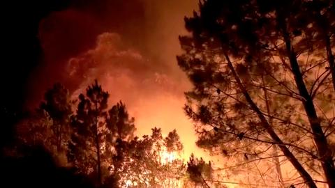 Waldbrand bei Pinofranqueado