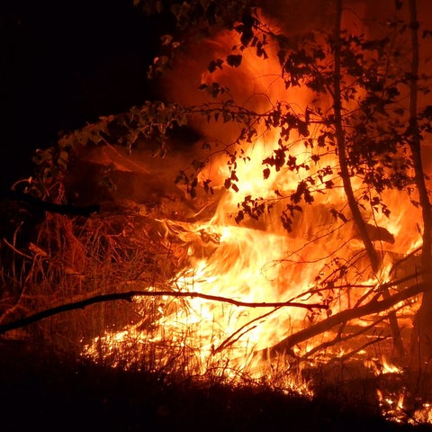 Pożar lasu w pobliżu Zutterbach