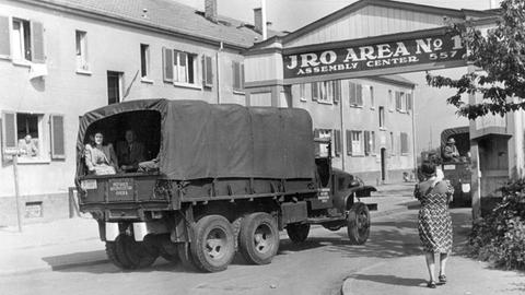 Nach der Landung auf dem Rhein-Main-Flughafen in Frankfurt im Juli 1948 werden die Displaced Persons mit Lastwagen in das IRO-Lager Zeilsheim gebracht. 