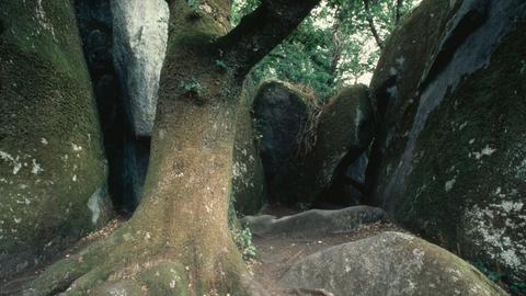  Fôret de Huelgoat, Felsen im Wald Fôret de Huelgoat (Westzipfel der Fôret de Brocéliande