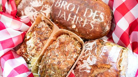 Das Kürbiskernbrot ist auf der Internationalen Grünen Woche zum «Brot des Jahres» gekürt worden.