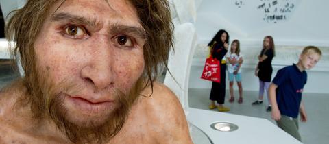 Modell  Homo Heidelbergensis