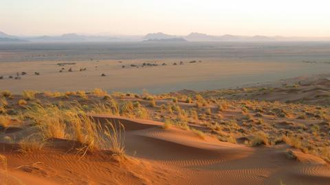 Abendstimmung in der Wüste Namib in Namibia im Südwesten von Afrika