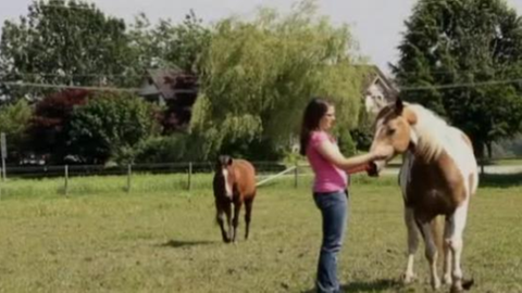 Mädchen mit Pferd