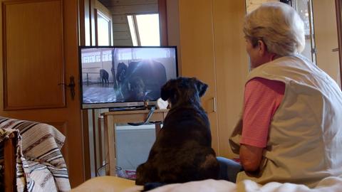 Frau mit Hund vor Fernseher