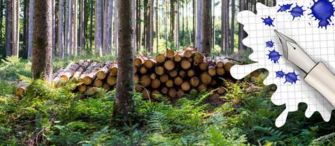 Teacher's Snack: Unser Wald und Pfingsten