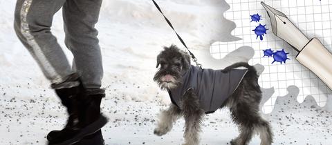 Frau geht mit Hund im Schnee spazieren