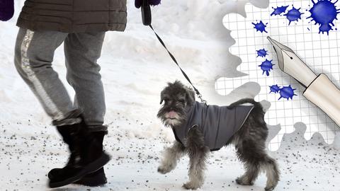 Frau geht mit Hund im Schnee spazieren