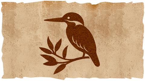 Eisvogel auf Ast