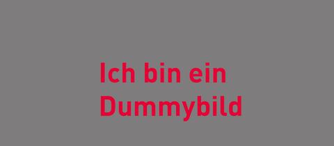 Die hr-Satzung