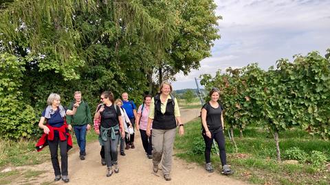 Bild vom Wanderausflug der bsg am 24.09.2022