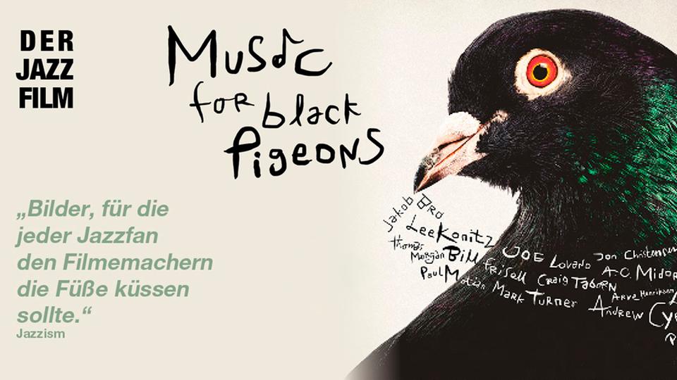 Motiv für den Dokumentarfilm "Music for Black Pigeons".